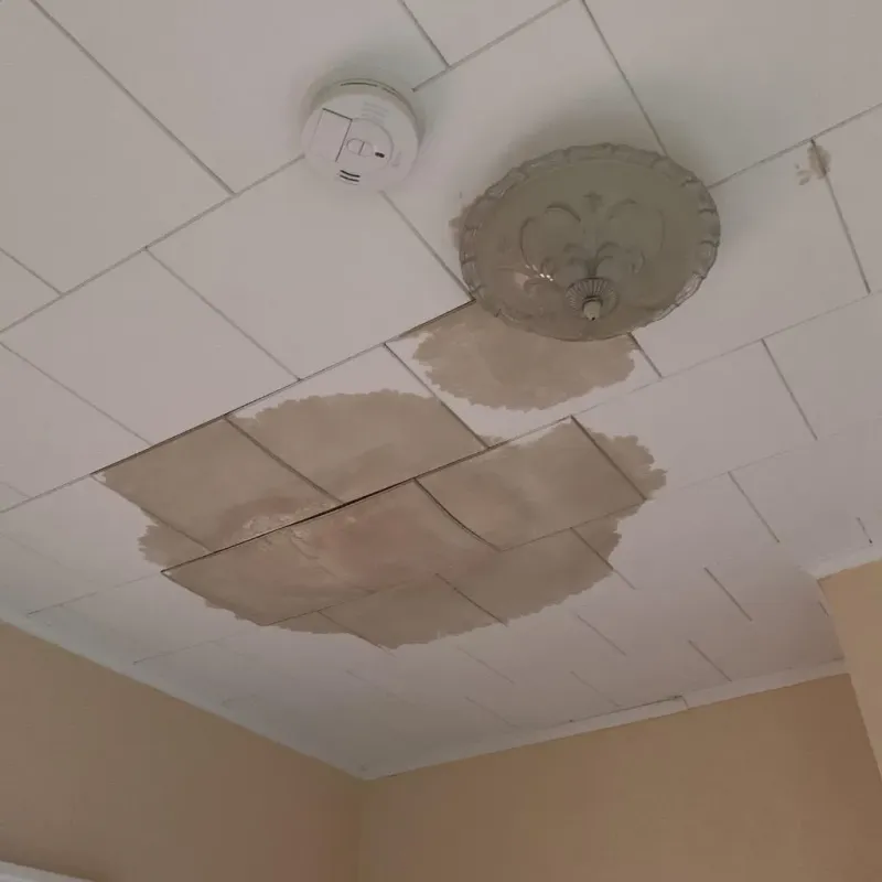Ceiling Water Damage Repair in Grundy County, IA