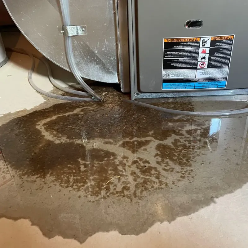 Pipe Burst and Leak Restoration in Grundy County, IA
